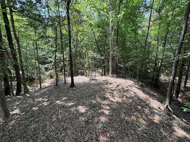 view of local wilderness featuring a wooded view