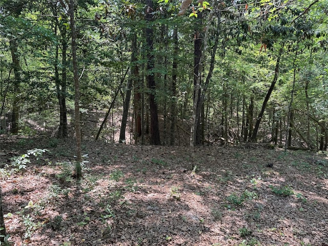 view of local wilderness with a forest view
