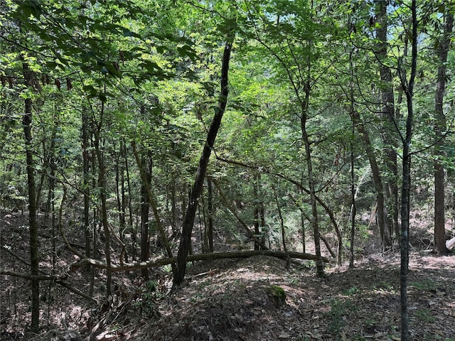 view of local wilderness featuring a forest view