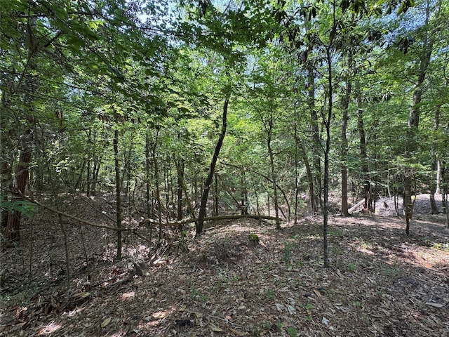 view of local wilderness with a forest view