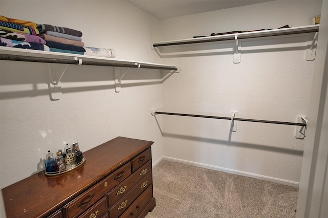 walk in closet with light colored carpet