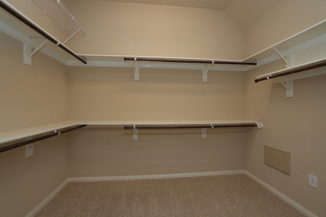 spacious closet with carpet floors