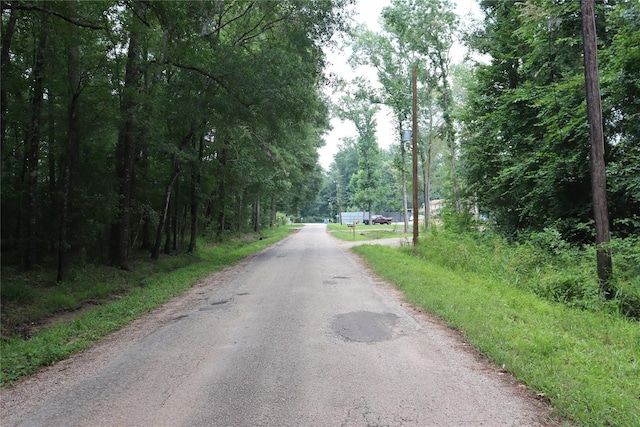 0 County Road 3812th Rd, Cleveland, TX 77328 - photo 3