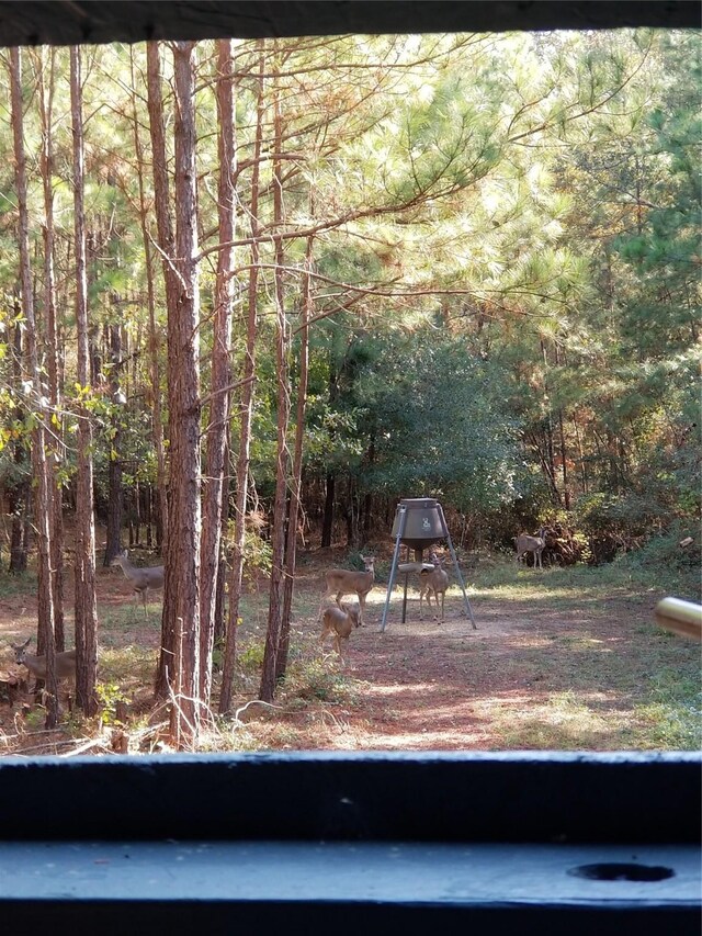 61AC County Road 201, Plantersville, TX 77363 - photo 6
