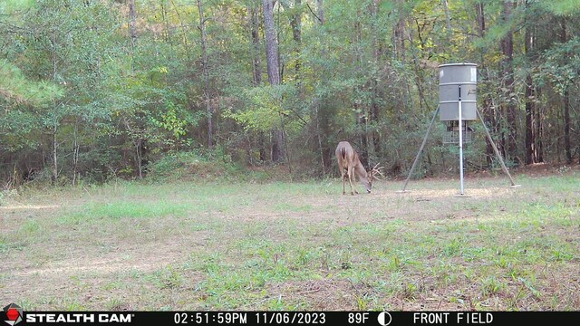 61AC County Road 201, Plantersville, TX 77363 - photo 13