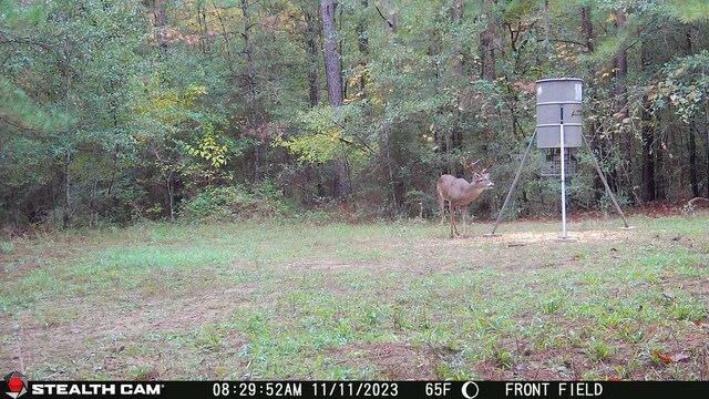 61AC County Road 201, Plantersville, TX 77363 - photo 16