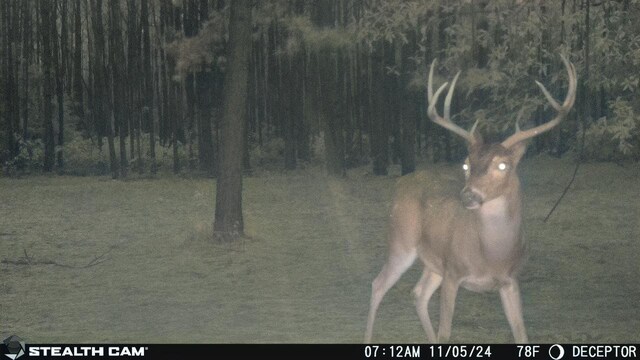 61AC County Road 201, Plantersville, TX 77363 - photo 18