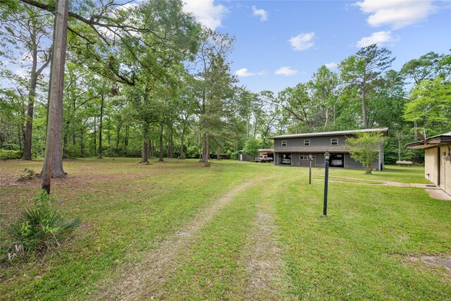 view of yard featuring driveway