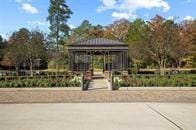 513 Pineal Dr, Montgomery, TX 77316 - view of home's community