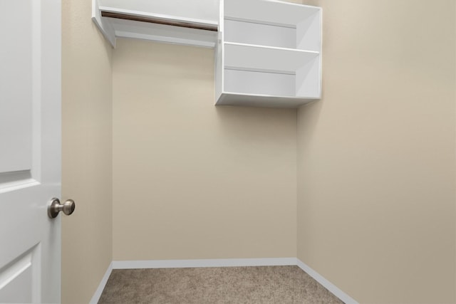 19122 Panther Cave Ct, Cypress, TX 77433 - spacious closet with carpet flooring
