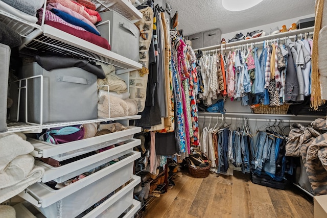 spacious closet featuring wood-type flooring