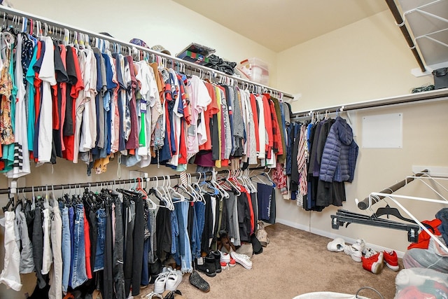 walk in closet with carpet flooring