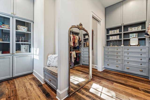 spacious closet with dark wood-style flooring