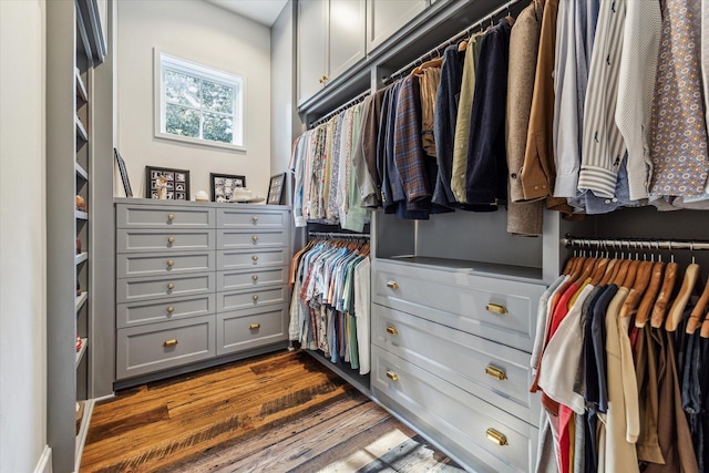 walk in closet with dark wood-style floors