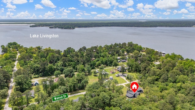 birds eye view of property with a view of trees and a water view