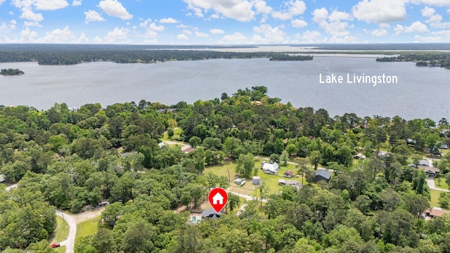 bird's eye view with a forest view and a water view