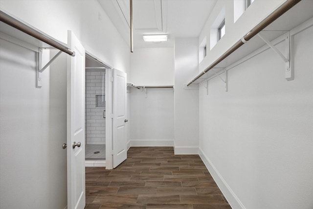 walk in closet featuring wood finished floors