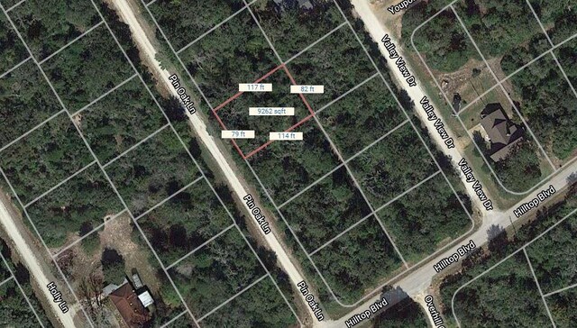 LOT19 Pin Oak, Normangee, TX 77871