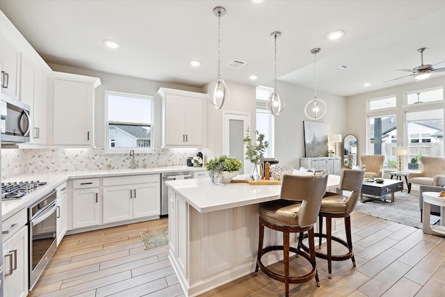 kitchen featuring light wood-type flooring, a wealth of natural light, and stainless steel appliances