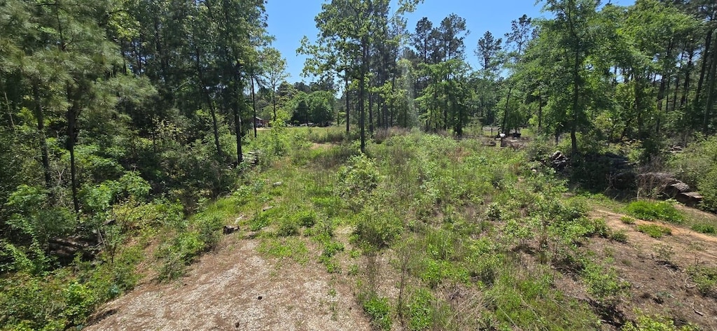 7898 Hawthorne Ln, Plantersville, TX 77363 - photo 1