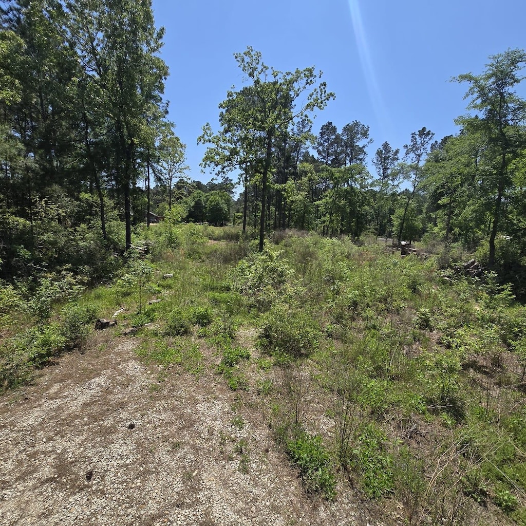 7898 Hawthorne Ln, Plantersville, TX 77363 - photo 2