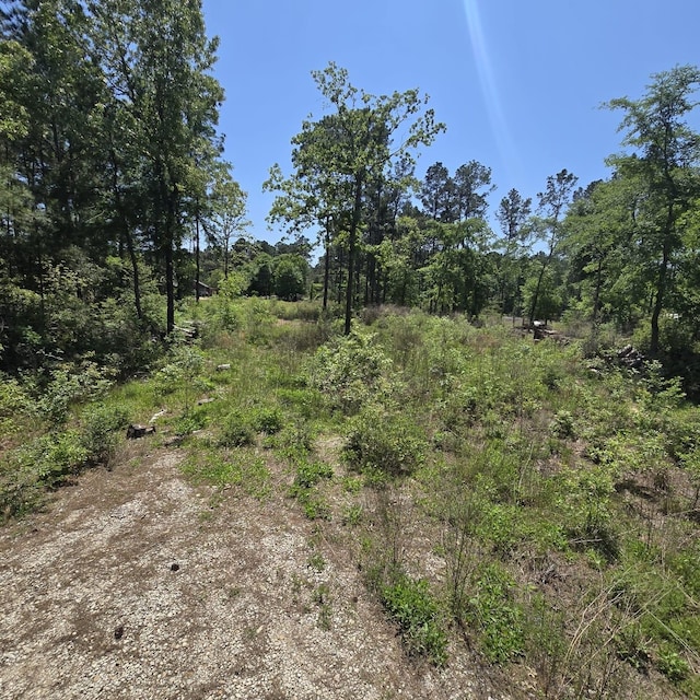 7898 Hawthorne Ln, Plantersville, TX 77363 - photo 2