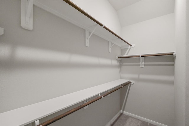 walk in closet featuring carpet flooring