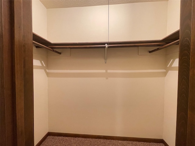 walk in closet with carpet