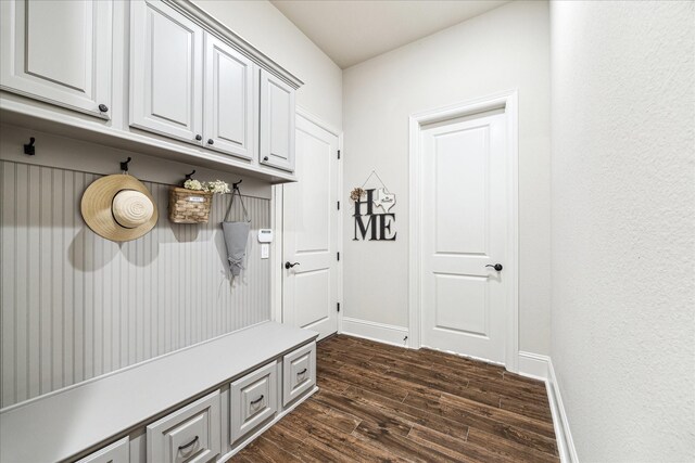 mudroom featuring baseboards and dark wood-type flooring