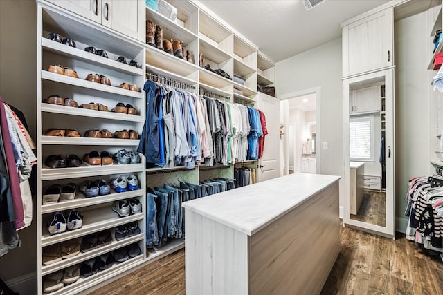 spacious closet featuring dark wood finished floors