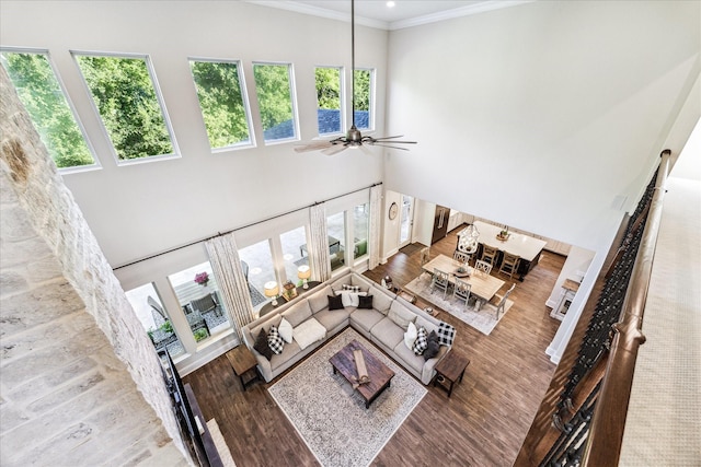 living room featuring wood finished floors, ornamental molding, ceiling fan, and a high ceiling