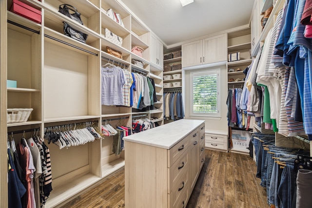 walk in closet featuring dark wood-style floors