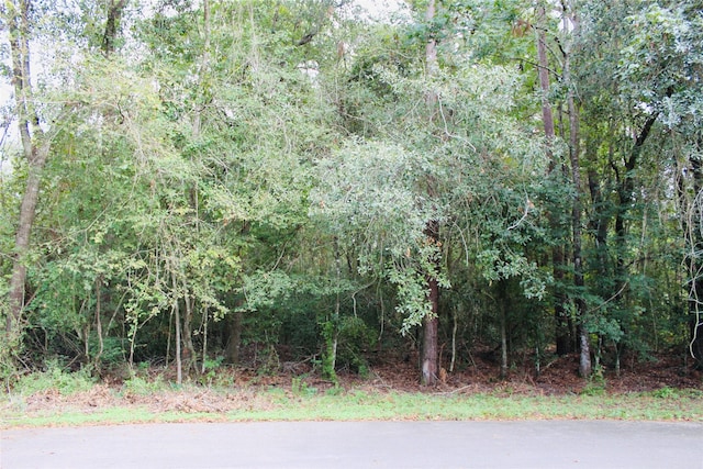 TBD Octavian Ct, Roman Forest, TX 77357