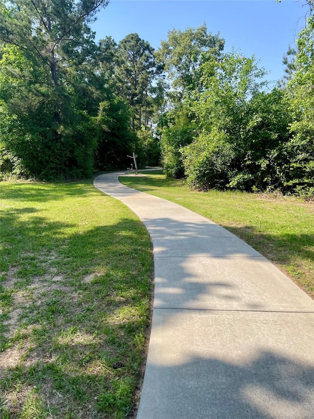 438 Camas Creek Ln, Magnolia, TX 77354 - surrounding community with a lawn