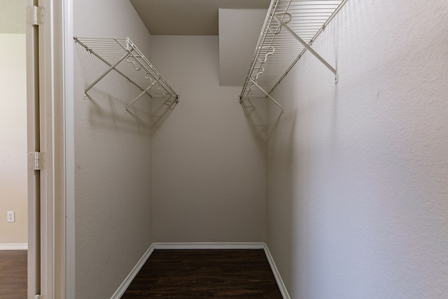spacious closet featuring wood finished floors