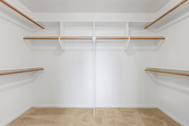 walk in closet featuring carpet flooring