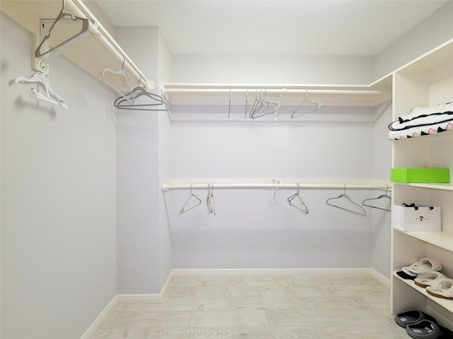 view of spacious closet