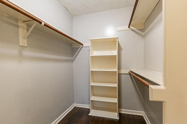 walk in closet featuring wood finished floors