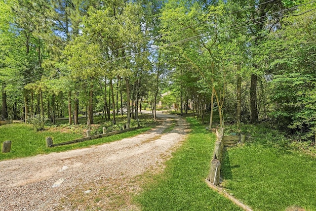 41411 Roundup Rd, Magnolia, TX 77354 - view of street featuring driveway
