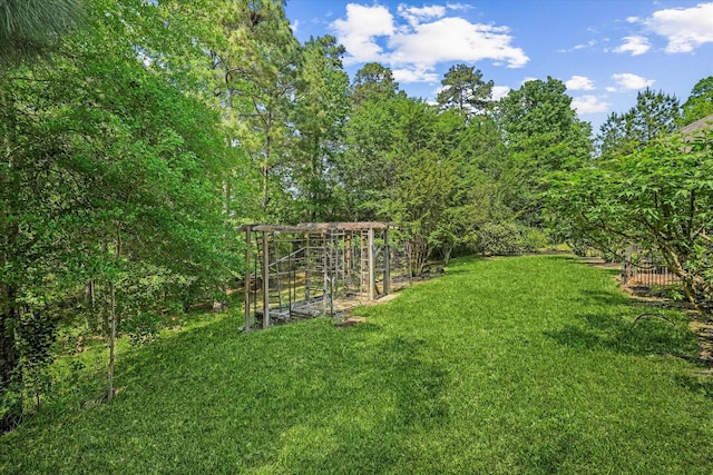 41411 Roundup Rd, Magnolia, TX 77354 - view of yard