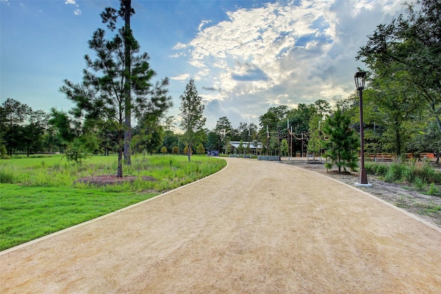 234 Detering St, Houston, TX 77007 - view of property's community with view of wooded area