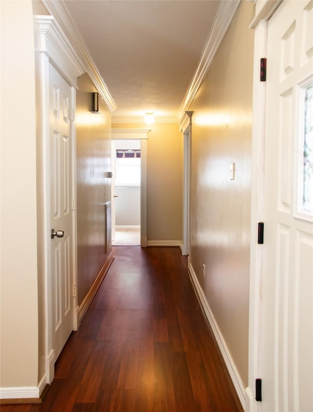 234 Fantasy Ln, Montgomery, TX 77356 - hallway featuring dark wood-style flooring and ornamental molding