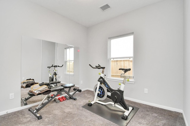 workout room with visible vents, carpet, and baseboards