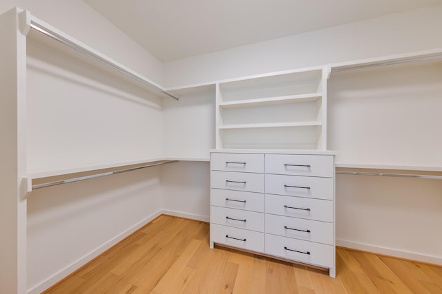 spacious closet featuring light wood finished floors