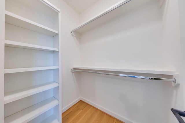 walk in closet with light wood-type flooring