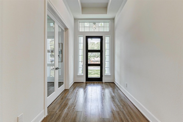 entrance foyer with wood finished floors, a healthy amount of sunlight, and baseboards