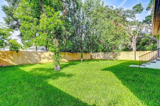 view of yard featuring a fenced backyard