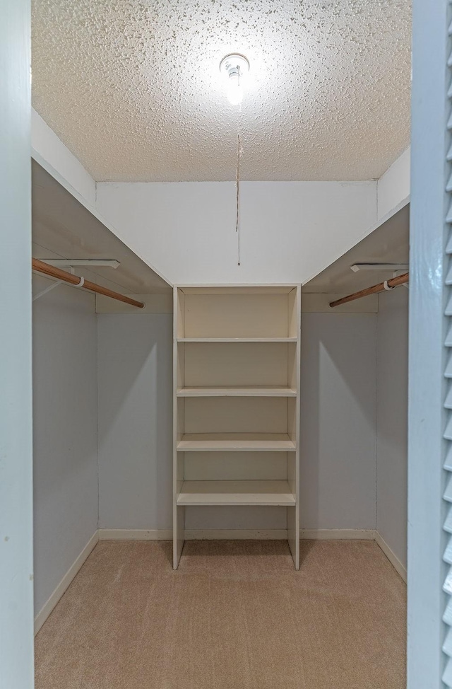 1345 10th St, Hempstead, TX 77445 - spacious closet featuring carpet