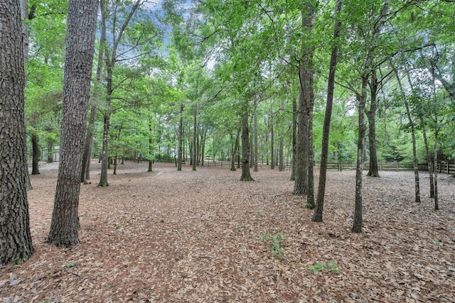 103 Ebner Lake Dr, Montgomery, TX 77316 - photo 46