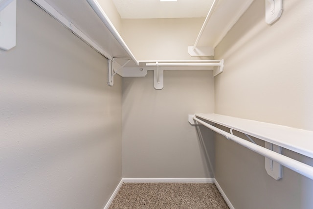 walk in closet featuring carpet